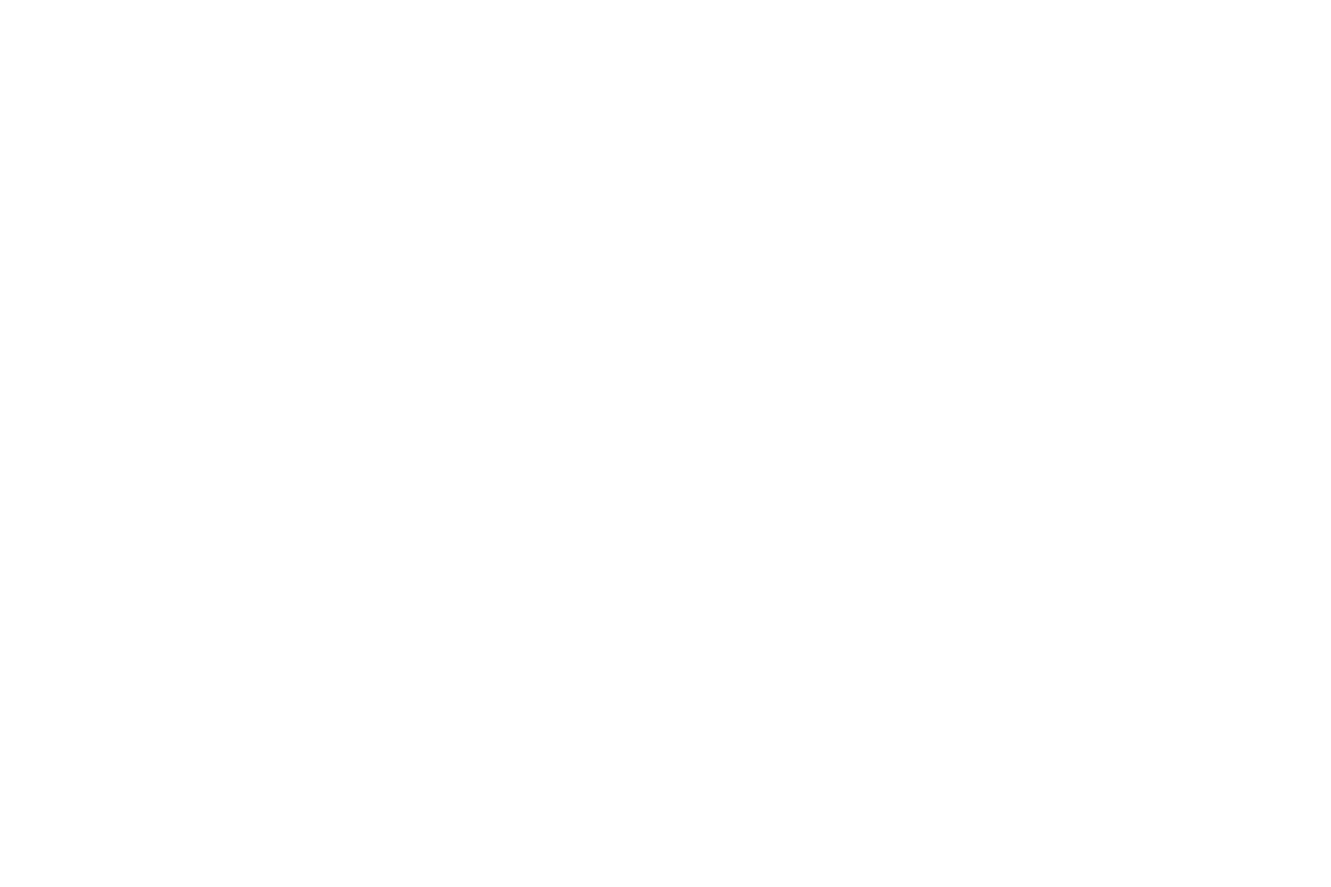 Ardex Logo